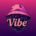 VibeBerry Team